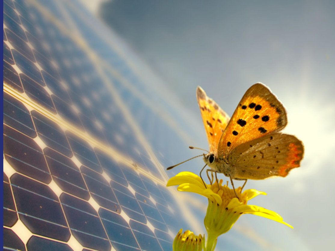 fontana placas solares